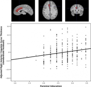 desc12096-fig-0001 (1)