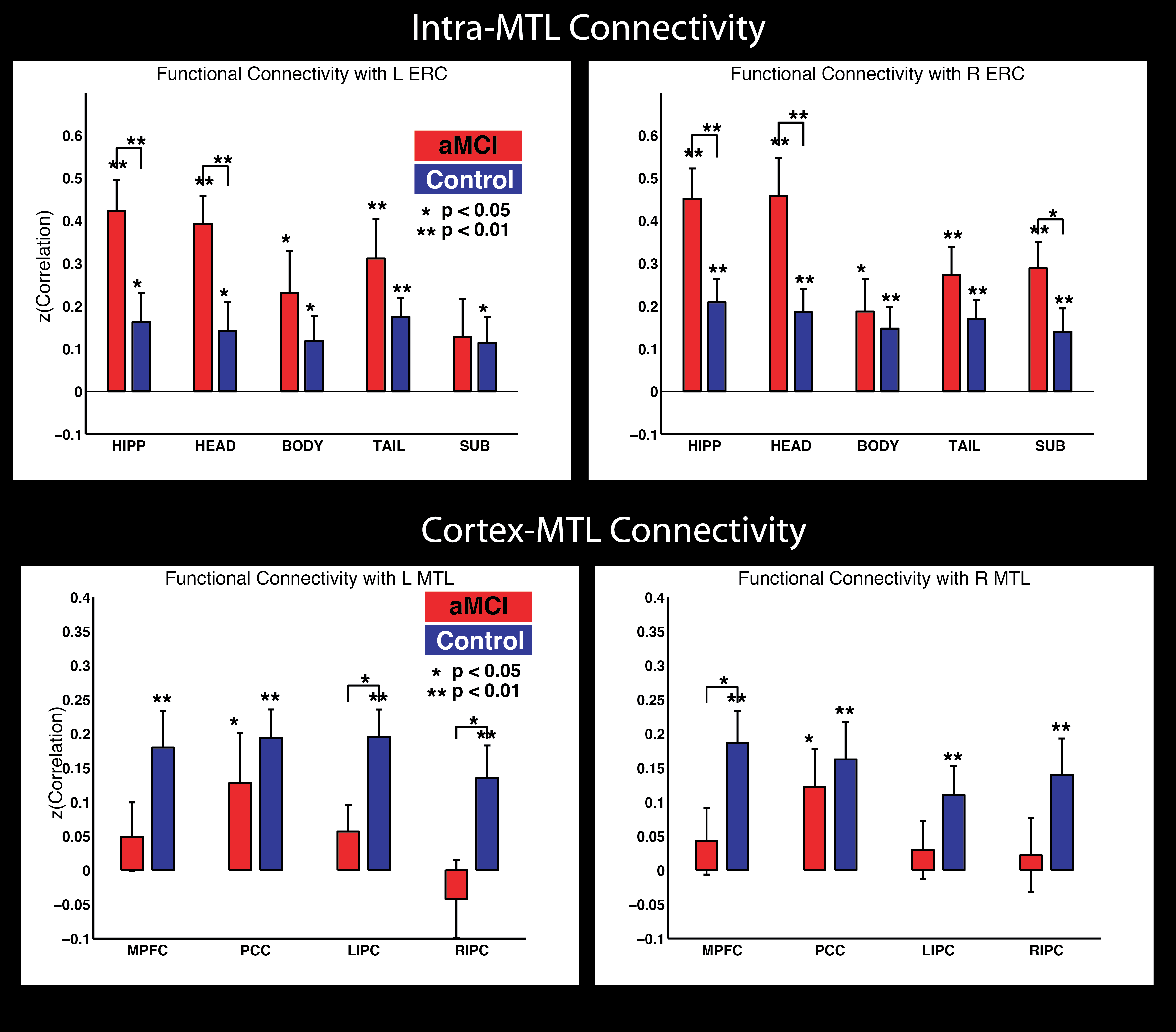 Functional connectivity within MTL